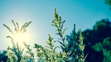 The Importance of Sun Protection for Healthy Skin